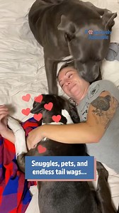 18K views · 198 reactions | Pure paw-some happiness! | Poke My Heart | Facebook