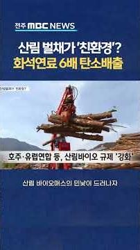 [자막뉴스] 친환경 바이오매스?? 화석연료 6배 탄소배출