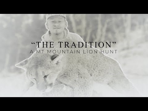 “THE TRADITION” | MONTANA mountain lion | 4k hunt