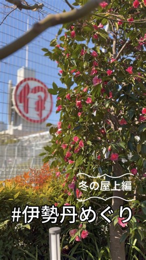 今日は伊勢丹で楽しい寄り道 ～冬の屋上編～ 伊勢丹新宿店で本館屋上アイ・ガーデンをパトロール👀 風は冷たいけれど、陽射しが暖かかった☀️ こちらへ近づいてくる小鳥も発見！ 2月8日(日)まではイルミネーションも楽しめるみたい✨ 冬の屋上もリフレッシュできていいな～！ まだまだパトロールは続く･･･ 伊ルミネーション -ISETAN Illumination- ■開催中～2月8日(日)各日午後4時～午後7時 ■本館屋上 アイ・ガーデン 📌屋上開園時間 11月～2月：午前10時～午後6時 3月～10月：午前10時～午後7時 #伊勢丹屋上 #アイガーデン #伊勢丹めぐり #伊勢丹パトロール #isetan ※2月6日(金)伊勢丹新宿店本館・メンズ館は全館イベント開催につき休業させていただきます。 尚、伊勢丹会館、パークシティ イセタン3～5は通常営業いたします。