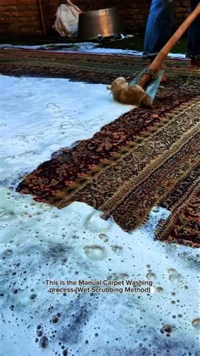 Deep Carpet Cleaning Process Using Manual Scraper Tool | Satisfying Rug Washing