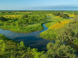 Ford Ranch for Sale in Brady, TX - Concho County | Farm & Ranch