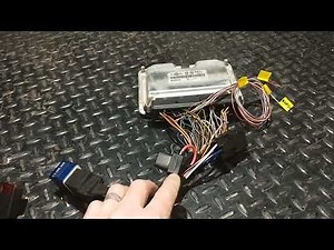 Standalone PD130/PD150 EDC15P+ wiring harness explained