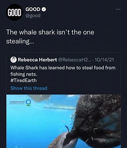 51K views · 1.2K reactions | Anthropocentrism: “the belief that humans are the most important entity in the universe.” | GOOD | Facebook