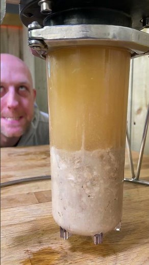 FermZilla Trub Dump #homebrewing #fermzilla #trubdump