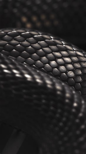 12K views · 62 reactions | Dark. Defiant. Deliciously different. Meet Dr. Martens x Wednesday, a collection that celebrates the art of standing out. ©️ 2022 MGM. WEDNESDAY TM Tee & Charles Addams Foundation. ©️ 2025 MGM. ARR Dr. Martens x Wednesday Round Elphie now available at:  Robinsons Manila, Padre Faura Wing, 2nd Level  SM North Edsa, Annex Building, 2nd Level  GH Mall, Ortigas, 2nd Level #DrMartensPH | Dr. Martens Philippines | Facebook