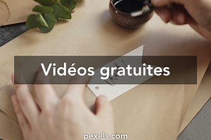 156+ Vidéos De Merci Libre de Droit, Clips Vidéo de Merci en 4K et HD