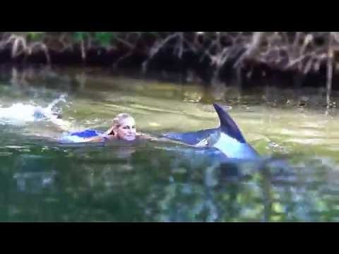 Dolphin Swimming - Florida Keys & Key West - Theater of the Sea