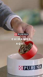 8.3K views · 15 reactions | A nutrição está no centro do que fazemos,...