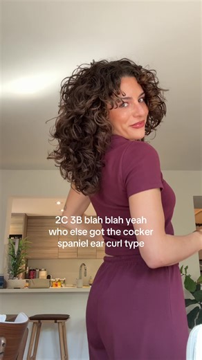 I should get a brown one and we can be lookalikes | cockerspaniel