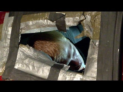 50,000 Homeless Veterans Nationwide