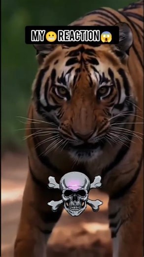 🥰🐅tiger baby are cute really 😬😱🐯 #tiger #babyanimals #mostpopularvideo