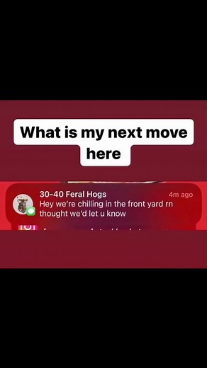 Sativa on Instagram: "Do you want to make money while sleeping, pooping or even crying because your existence is pointless? If your answer is yes, then you should build your own passive income. I offer you to check my website www.effortlessmademoney.online, where you can find more information about my strategy on building passive income, hope you’ll check it out, thanks! #affiliatemarketing #passiveincome #makemoneyonline #mindset #success #wealth #money"