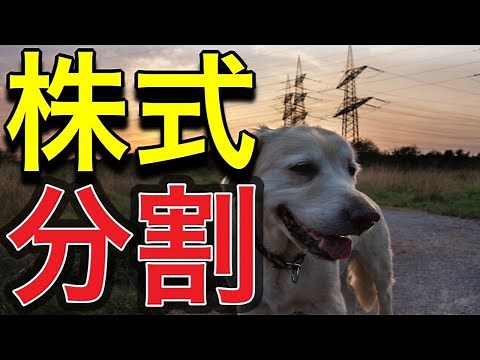 What is a stock split? A simple explanation