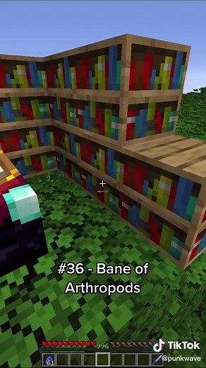 Understanding Curse of Vanishing in Minecraft
