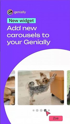 Add new carousels to your Genially