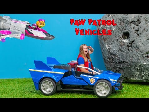 Assistant Hunts for Paw Patrol Mighty Pups Movie Character Skye & Chase