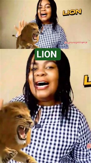How to sign Lion #signlanguage #asl #americasignlanguage #nigeriasignlanguage