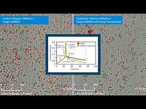 Monitor and Measure ADCC by both Impedance and Imaging using xCELLigence RTCA eSight