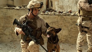 Watch Max 2015 full movie on Fmovies