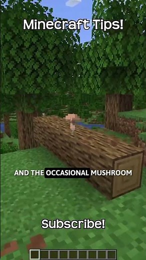 What Is The Command To Find A Forest In Minecraft?!