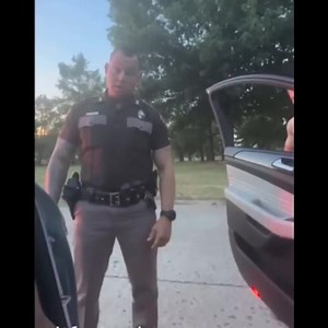 2.3K views · 32 reactions | Cops Use Force On Driver Over Simple Traffic Stop | Art | Facebook