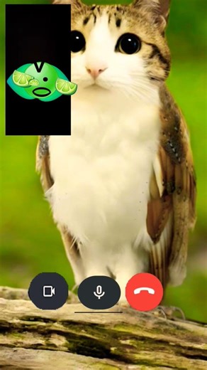 why you caling me! i try to begain a games