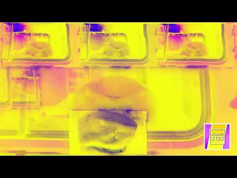 Preview 2 King Shark Bus Extended | Effects || iiSharkBus