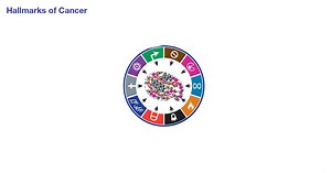 HALLMARKS OF CANCER: Do these Hallmarks help you understand the biology of cancer? Do you refer to these concepts often? Let us know in the comments section! | Thermo Fisher Scientific