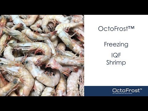 OctoFrost™ Freezing IQF Raw & Cooked Shrimp