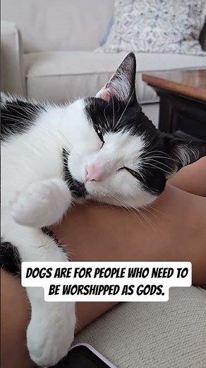 Here's the real difference between cats and dogs. 🐈🐕 #cats #dogs #catvideos #catsanddogs