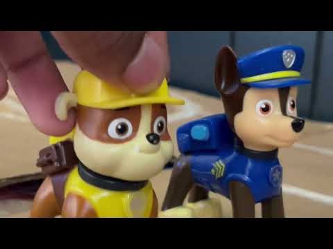 Little einsteins paw patrol rescue: pups save a baby Cello case