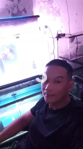 Jeff's fish room (@jeffsfishroom28)’s videos with original sound - 2000s pop hits