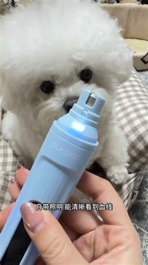 A convenient and easy-to-use nail sharpener No more fighting when cutting nails#A treasure