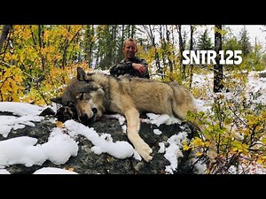 Alpha Male Killed 5 Hounds - Stuck N the Rut 125