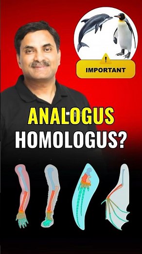 Homologous Vs Analogous NEET Biology Trick 2024 | Dr. N.S. Jain #biology #neet2024 #neetbiology