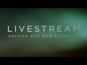 Autumn Rising Livestream | Timber & Pearl