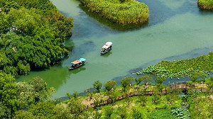 Live: Glide through the serene waterways of Xixi National Wetland Park
