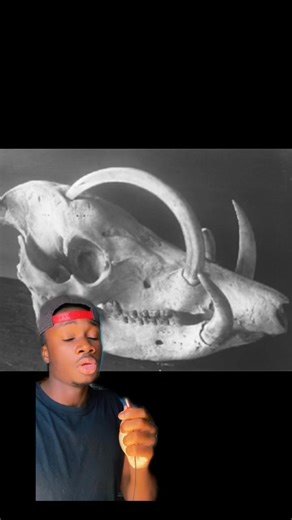 Did my mans wrong smh #nature#animalfacts#oof | Casual Geographic