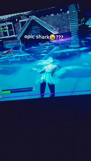 @Fortnitegamer1000 (@_elite_asco_123)’s videos with