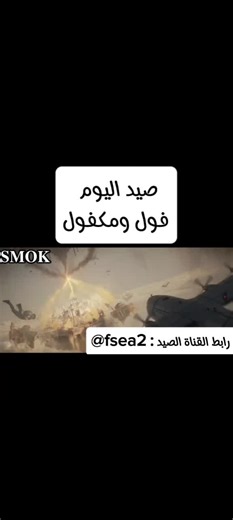 أدوات بايثون للصيد ودليل المبتدئين