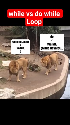 while versus do while loop #shorts #shortsfeed