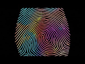 Why Your Fingerprints Form Before You're Born