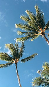 A stay filled with serene ocean views. Let the gentle turquoise waters and endless horizon be your inspiration for relaxation and adventure. 🌊 | Cheeca Lodge & Spa