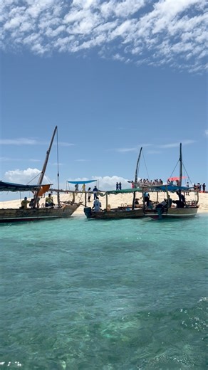 19 reactions |  Blue Safari a sea adventure using traditional dhows...