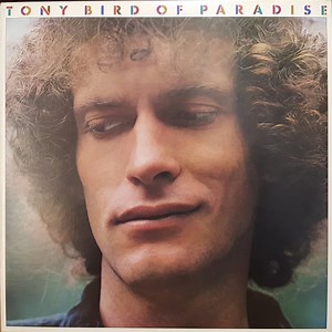 Tony Bird - Bird Of Paradise