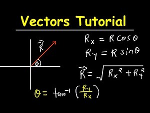 Physics Live Class | Vectors Explained from Scratch (Magnitude & Direction)