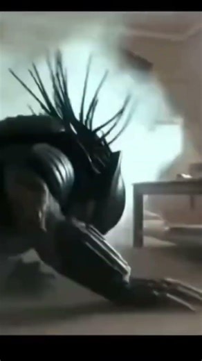 Terminator vs predator