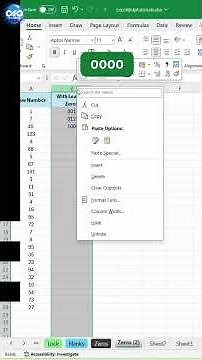 Add Leading Zeros in Excel | Keep 001, 007, 045 Automatically