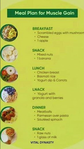 Full Day Muscle Gain Meal Plan | What I Eat to Build Muscle 💪